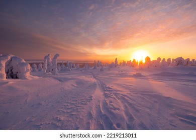 Frosty evening in Lapland in winter Stock fotografie