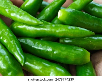 Fresh green chilli hot spices on white back ground .Green chilli pepper with full depth Stockfoto