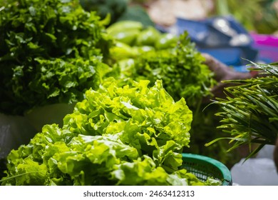 신선한 녹색 상추 잎은 판매를 위해 시장에 보관되어 있다. 이 잎이 많은 야채는 많은 건강상의 이점을 가지고 있습니다. 스톡 사진