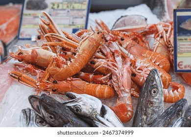 Fresh scampi, seafood dish that includes various preparations of certain crustaceans, especially langoustine, shrimp or prawns in a fish shop or market: zdjęcie stockowe
