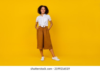 Full size photo of pretty good mood lady wear stylish outfit picture for ad shop blank space isolated on yellow color background: stockfoto