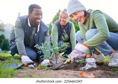 Gardening, community service and people volunteering in park, garden and nature for sustainability. Climate change, happy team and tree plants in sand for earth day project, growth and green ecology Stock Photo