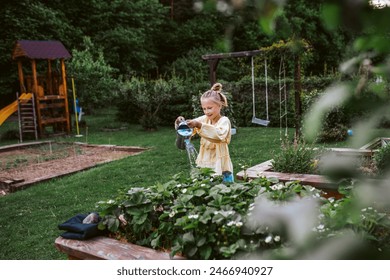 Girl watering strawberries in raised bed, holding metal watering can. Taking care of garden and planting spring fruits, vegetables and flowers. 库存照片