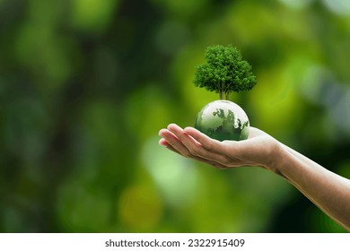 Global sustainable environment concept - ESG, net zero, eco, co2, carbon, human hand holding green globe orb with growing tree save our planet, world environment day, earth day and climate change: stockfoto