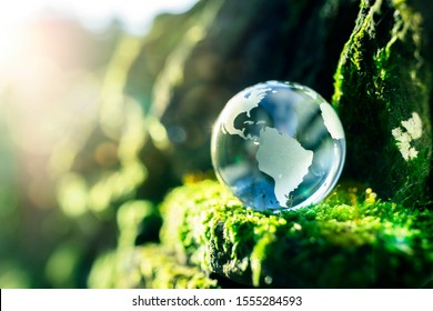 Glazen bol in het concept in de natuur voor milieu en natuurbehoud: stockfoto