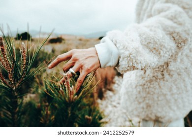 A hand of woman in white coat touching plant in field. A girl walking on nature. Luxury style people travel in forest, wood. Quiete luxury, cozy style Foto stock