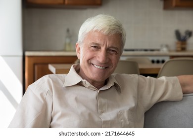 ハンサムな幸せな古い灰色の髪のシングルマンは、カメラを見て笑顔で居心地の良いソファにリラックスしてケアフリー退職生活をお楽しみください、現代の家で一人でレジャーを過ごす。落ち着いた男性年金受給者のポートレートコンセプトの写真素材