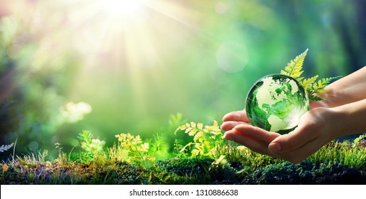 Handen Holding Globe Glass In Green Forest - Environment Concept - Usa elementen van deze afbeelding geleverd door NASA: stockfoto
