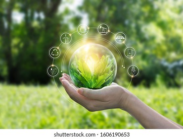 
Handen beschermen wereldbol van groene boom op tropische natuur zomerachtergrond, ecologie en milieu concept: stockfoto