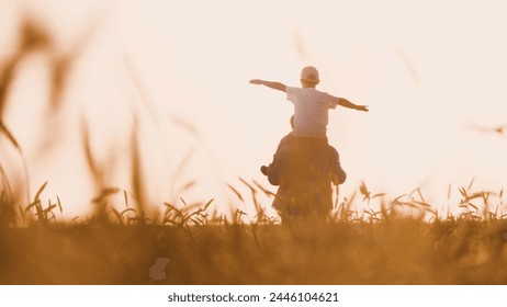 Happy child boy sitting on father shoulders with open hands walking at sunny dry wheat field back view. Family male parent and kid son playing flying together enjoy freedom with love and tenderness 库存照片