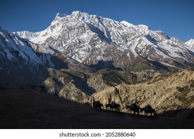 High steep slopes of mountains covered with snow located in Himalayas valley range under colorful sky in Nepal Foto stock