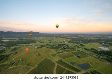 Hot air balloons in Pokolbin wine region at sunrise over vineyards and wineries, Hunter Valley, NSW, Australia	, fotografie de stoc