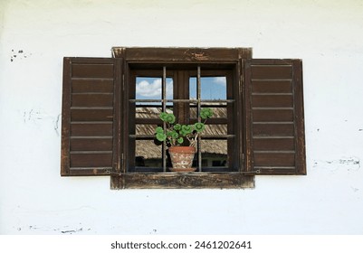 Стоковая фотография: Hungarian farmhouse shuttered window with geranium in Hungarian Open Air Museum (Skanzen) in Szentendre, Hungary. 