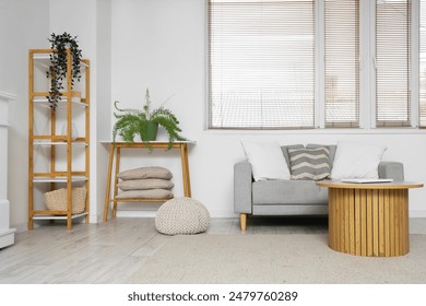 Interior of light living room with grey sofa, shelving unit, coffee table and carpet Arkistovalokuva