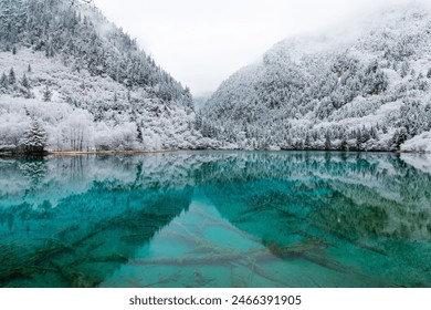 Jiuzhaigou, once logged extensively, is now China’s top park, safeguarding 278 sq mi of UN-called "most diverse temperate forest." It hosts 118 lakes, incl. Five Colored Pond.Located in Sichuan,China Foto Stok