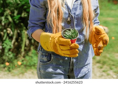 Latin woman planting in the garden in spring Stock-foto