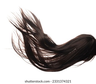 ロングストレートウィッグヘアスタイルフライ秋の爆発。茶色の女性かつら髪は空中に浮かんでいます。ストレート茶色のかつら髪の風が雲をスローします。白い背景に高速で動きを止めるの写真素材
