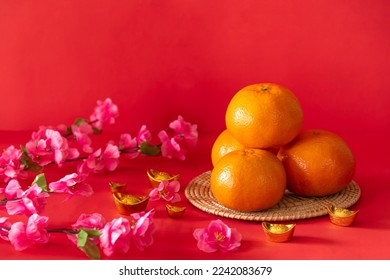 Mandarin oranges table for celebration Lunar New Year or Chinese New Year, decorate by pink and white flowers 库存照片