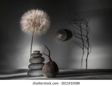 Modern still life with dandelion and stones. Foto Stock