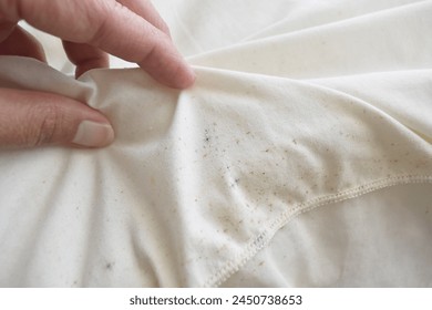 Mold on pillow. Mould on fabric. Hand holding dirty pillow. – Ảnh có sẵn