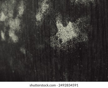 moldy wood. The cause of mold is that room conditions with low light and high levels of air humidity can trigger the growth of mold. The growth of this fungus can especially occur on wooden furniture.: zdjęcie stockowe