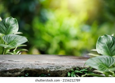 Natural stone and concrete podium in Natural green background for Empty show for packaging product presentation. Background for cosmetic products, the scene with green leaves. Mock up the pedestal. Foto Stock
