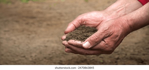 Old closeup worker palm help clean begin sow seed sapl root seedl life hobby. Close up view arm touch test examine quality show check good dark brown black fresh wet clod food bio eco day concept idea – Ảnh có sẵn