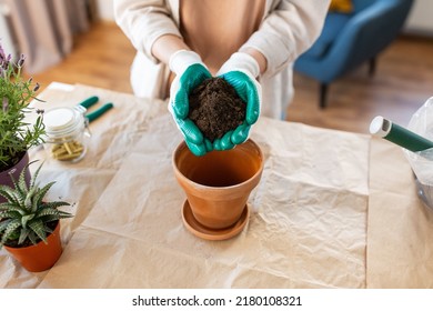 人、ガーデニング、家事のコンセプト – 手袋で女性の接写を自宅で植木鉢に土を注ぐの写真素材