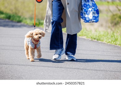 Perro de mascota caminando con el dueño Foto de stock