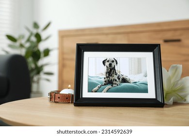 Pet funeral. Frame with picture of dog, collar, burning candle and lily flower on wooden table indoors Stock fotografie
