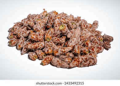 Pine buds healthy diet. A pile of pine buds Stock Photo