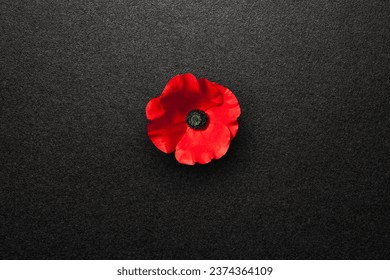Poppy flower on black textured background. Decorative flower for Remembrance Day. Memorial Day. Veterans day.: stockfoto