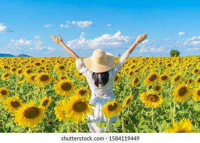 Portrait of happy Asian woman enjoying and relaxing in a full bloom sunflower field during travel holidays vacation trip outdoors at natural garden park at noon in Lopburi, Thailand. Lifestyle. Stock Photo