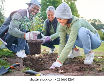 Plants, community service and volunteering group in park, garden and nature for sustainable environment. Climate change, tree gardening and earth day project for growth, global care and green ecology: stockfoto