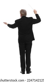 Professional conductor with baton on white background, back view Stockfoto