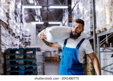 The quick warehouse worker is holding a sack with flour on his shoulder, and relocating it to another place. He is preparing orders for shipping. Foto stock