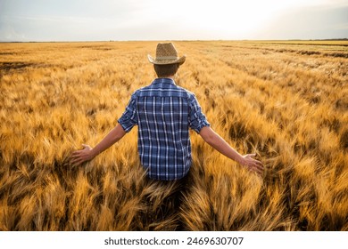 Rear view of happy farmer walking through his wheat field. – Ảnh có sẵn