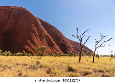 red rocks and dead trees - Φωτογραφία στοκ