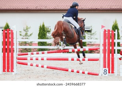 Rider jump to clear the red obstacle. Show Jumping. Chestnut horse on course. Rider from the back. Foto stock