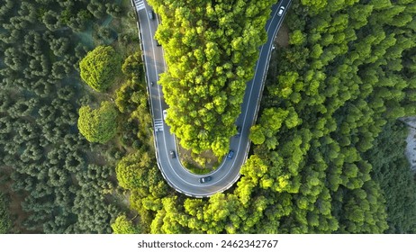 The road, with its lush green surroundings, is a sight to behold, especially during the spring season.: zdjęcie stockowe