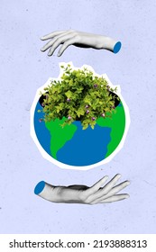 Safe people earth concept collage of two hands helping forest ecosystem isolated purple color background