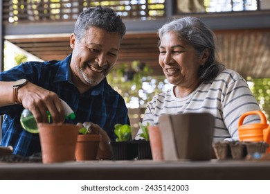 Senior biracial couple enjoys gardening together, sharing a joyful moment. senior woman with gray hair laughs beside man as they plant seedlings, showcasing a hobby that connects them. Stock-foto