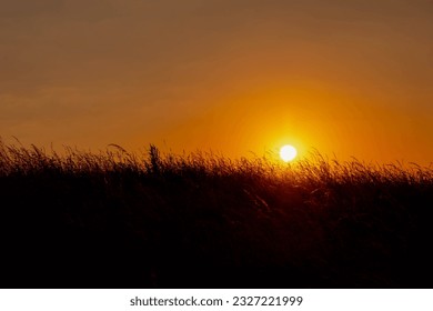 Paysage du coucher de soleil d'été, Silhouette d'herbe brandissant l'air sur le terrain, lumière du soleil jaune Doré en descendant, ciel Orange en soirée, arrière-plan nature Horizontal. : photo de stock