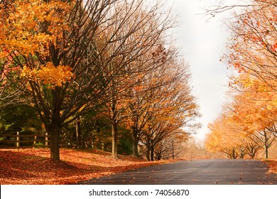 秋の郊外の道の写真素材
