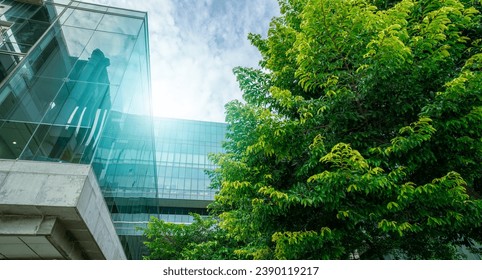 Sustainable green building. Eco-friendly building. Sustainable glass office building with trees for reducing carbon dioxide. Green company office with green environment. Corporate building reduce CO2. Arkistovalokuva