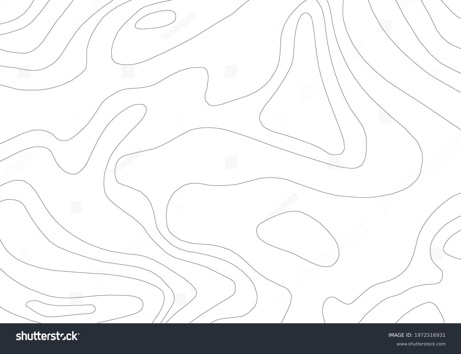 Abstract Contour Topographic Line Pattern in Black and Whiteのベクター画像素材