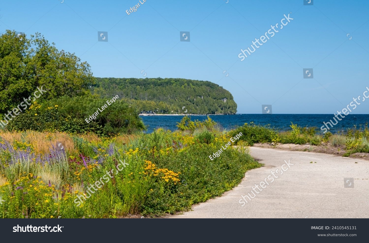 Beautiful colorful wild flowers along a path near the shore of a lake on a sunny day with clear blue sky.
