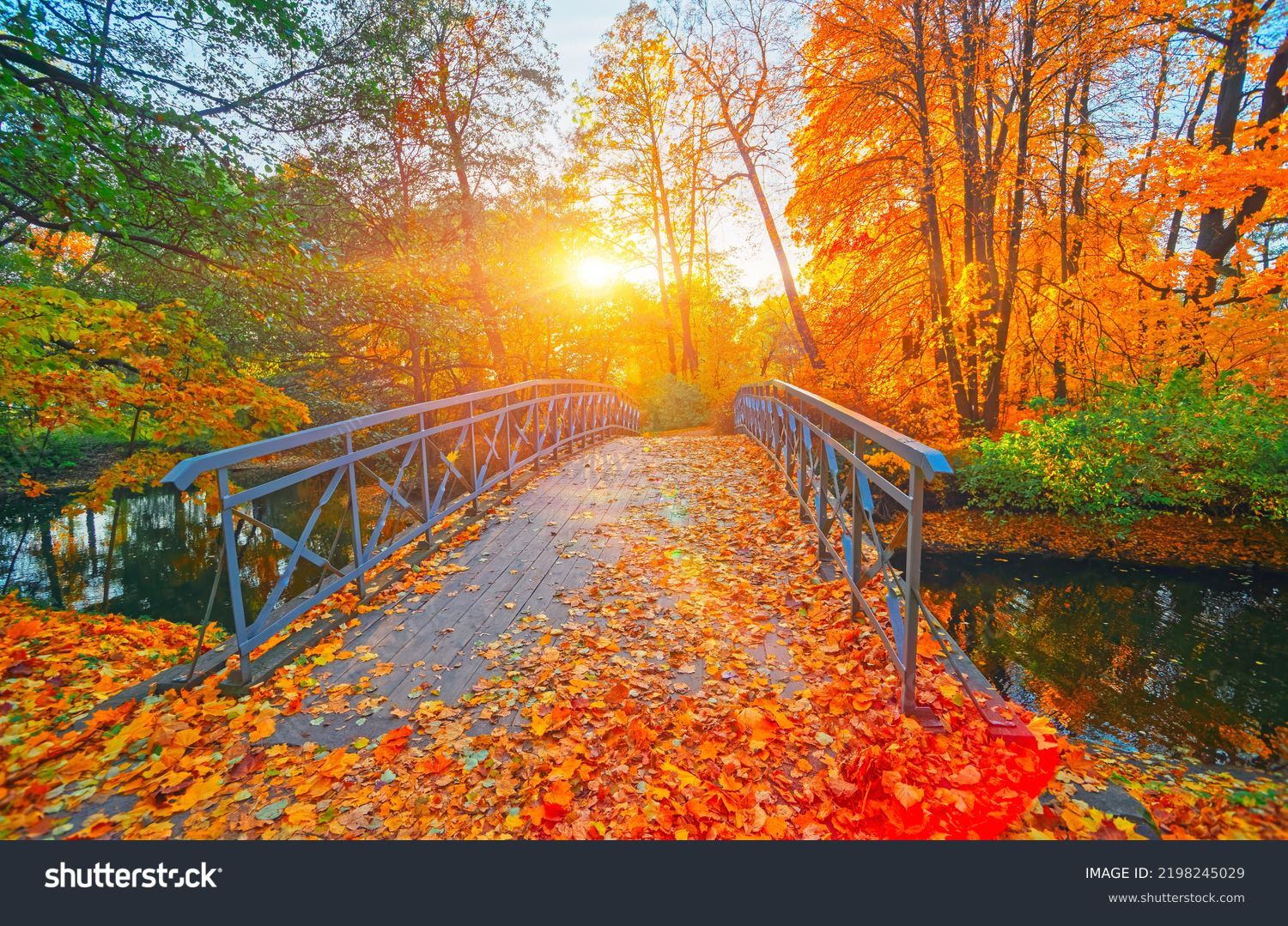Autumn nature landscape. Lake bridge in fall forest. Path way in gold woods. Romantic view image scene. Magic misty sunset pond. Red color tree leaf park. Calm bright light, city sunrise, sunlight sun Foto stock