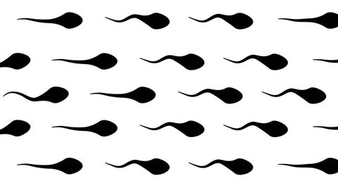 Animation loop bacground Spermatozoon icon. moving white spermatozoid. backgrounds texture Video Stok