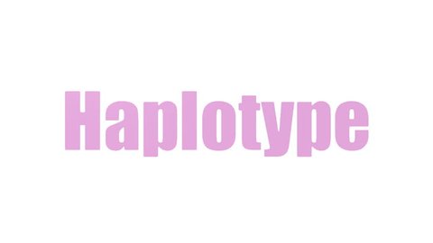 Haplotype Tag Cloud Animated Isolatedの動画素材